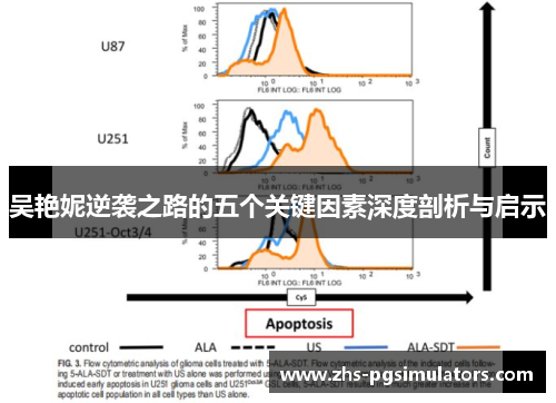 吴艳妮逆袭之路的五个关键因素深度剖析与启示