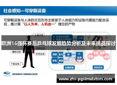欧洲16强杯赛后乒乓球发展趋势分析及未来挑战探讨