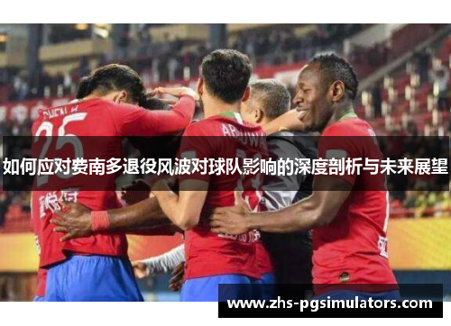 如何应对费南多退役风波对球队影响的深度剖析与未来展望