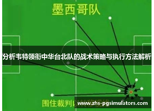 分析韦特领衔中华台北队的战术策略与执行方法解析