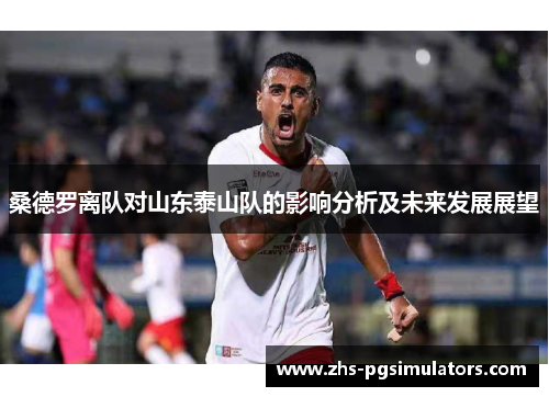 桑德罗离队对山东泰山队的影响分析及未来发展展望