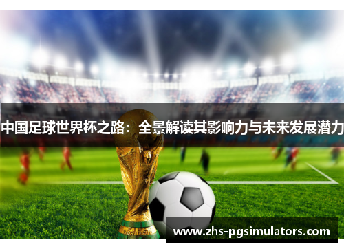 中国足球世界杯之路：全景解读其影响力与未来发展潜力
