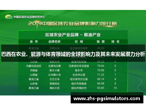 巴西在农业、能源与体育领域的全球影响力及其未来发展潜力分析