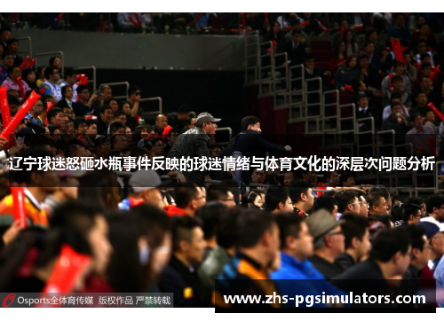 辽宁球迷怒砸水瓶事件反映的球迷情绪与体育文化的深层次问题分析